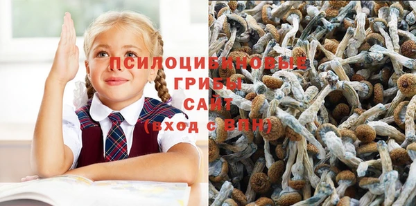 прущие крисы Баксан