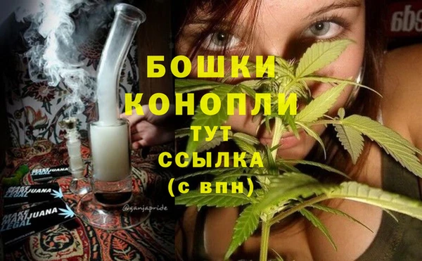 первитин Снежногорск